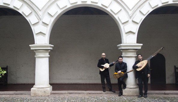 arcana_pulsata-593x340